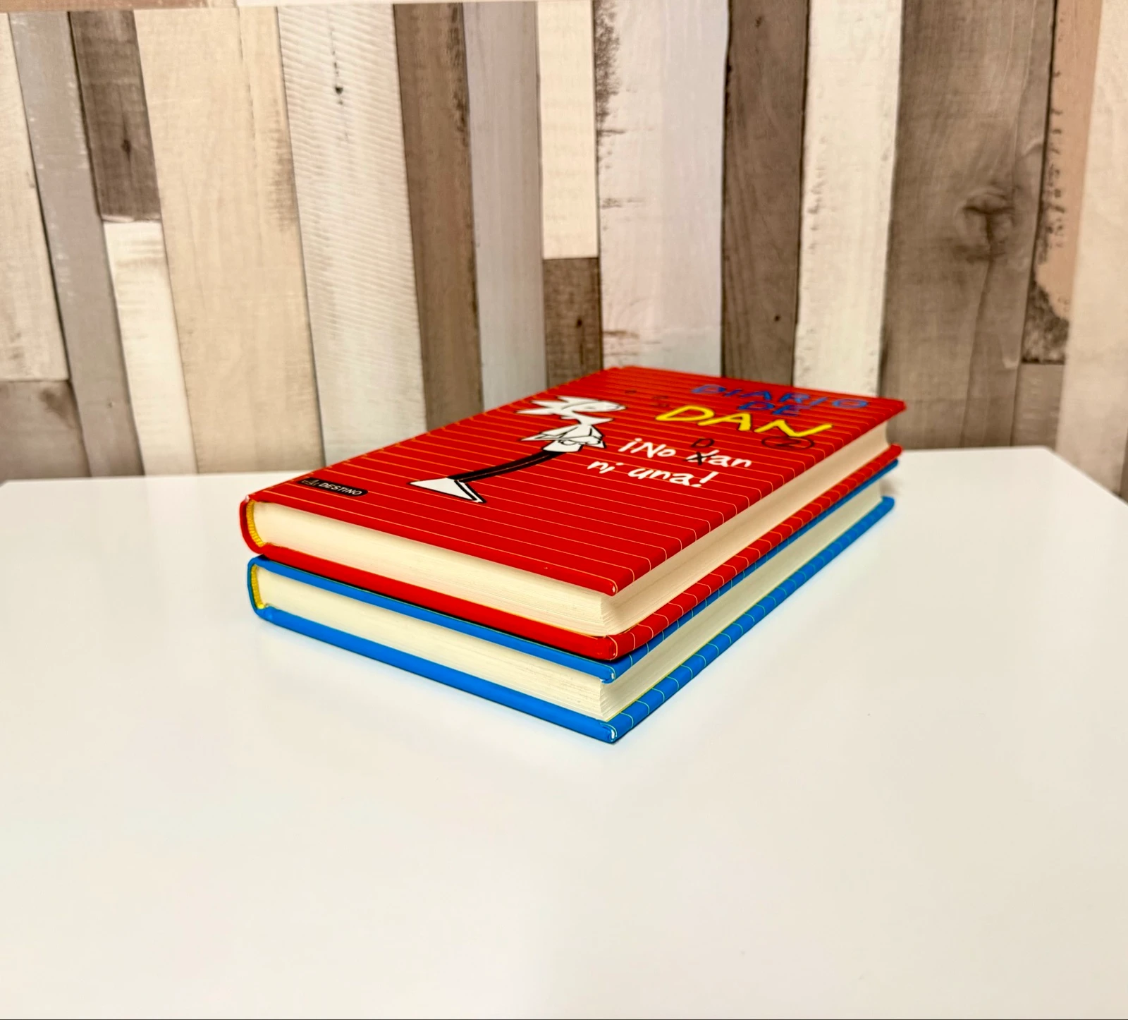Dan's Diary Books 1 and 2 – photo 8